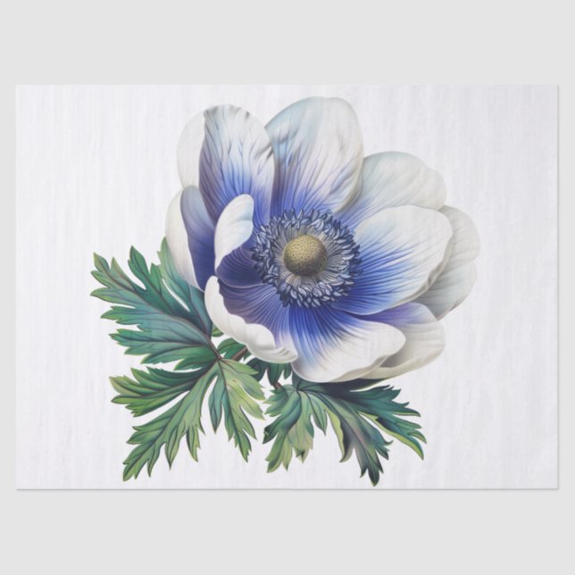 Papel De Seda Flor Anemone (Frente )