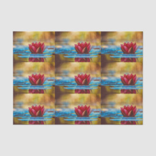 Papel De Seda Flor bonito de Lotus em uma Foto Padrão de Pond