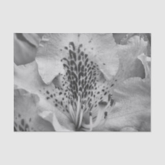 Papel De Seda flor cinza