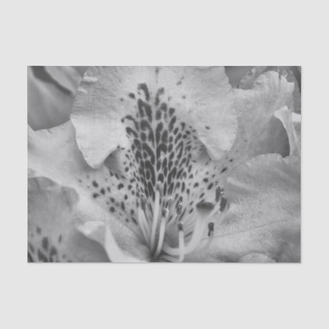 Papel De Seda flor cinza (Frente )