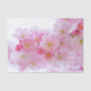 Papel De Seda Flor de árvore de cereja japonesa