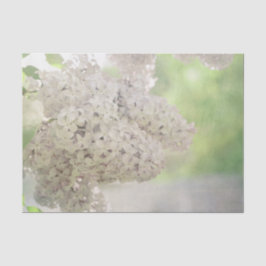 Papel De Seda Flor de Lilás Suave Branco Botânico Rústico