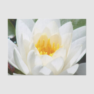 Papel De Seda Flor de Lotus