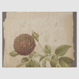 Papel De Seda Flor de Papoila na Decoupage Distante