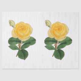 Papel De Seda Flor de Rosa Amarela Vintage