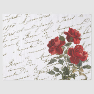 Papel De Seda Flor de Rosa vermelha de Script Francês