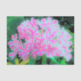 Papel De Seda Flor de Torção do Peppermineiro Rosa-Quente e Bran