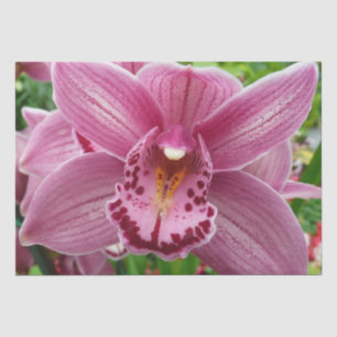 Papel De Seda Flor Elegante Orquídea Roxa