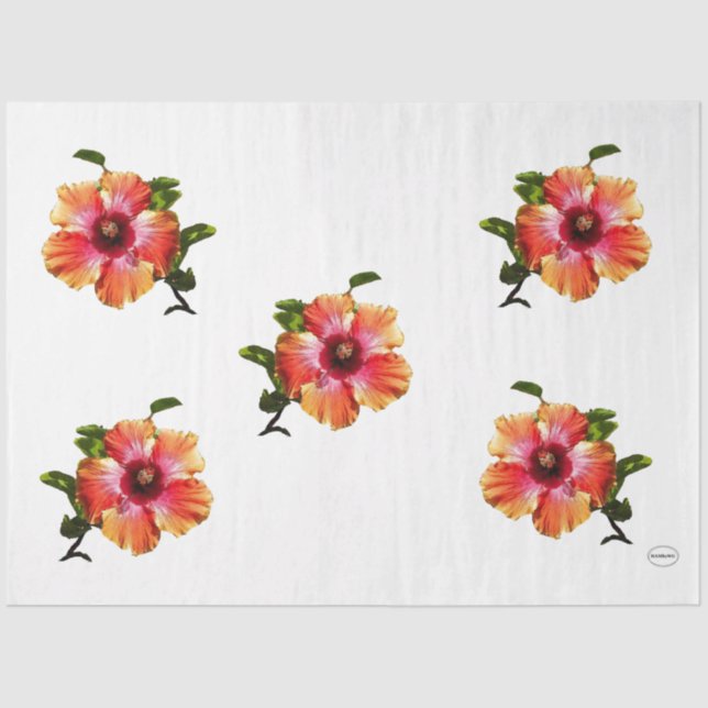 Papel De Seda Flor HAMbyWG Hibiscus - (Frente )