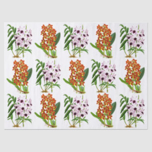 Papel De Seda Flor Orquídea Exótica Orquídea Laranja Roxo-Roxo V