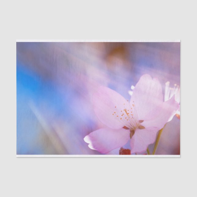 Papel De Seda Flor rosa de cereja (Frente )