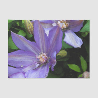 Papel De Seda Flor roxa Decoupage da corriola