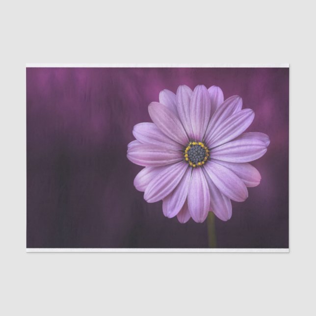 Papel De Seda Flor Roxo no Bloom (Frente )