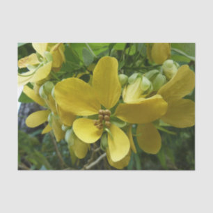 Papel De Seda Floral Amarelo tropical da árvore do Chá do ouro
