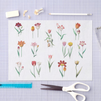 Papel de Seda Floral de Tulipas