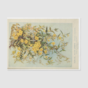 Papel De Seda Floral Ephemera Decoupage Jasmine Sunflower