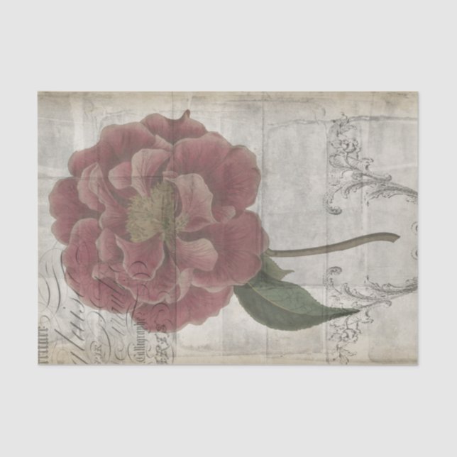 Papel De Seda Floral III francês (Frente )