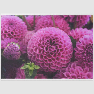 Papel De Seda Floral Moderno Elegante