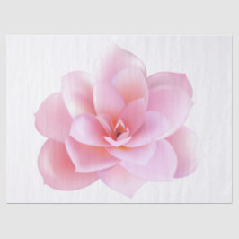 Papel De Seda Floral Moderno Elegante