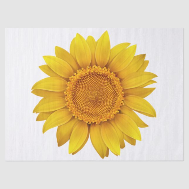 Papel De Seda Floral Moderno Elegante (Frente )