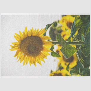 Papel De Seda Floral Moderno Elegante