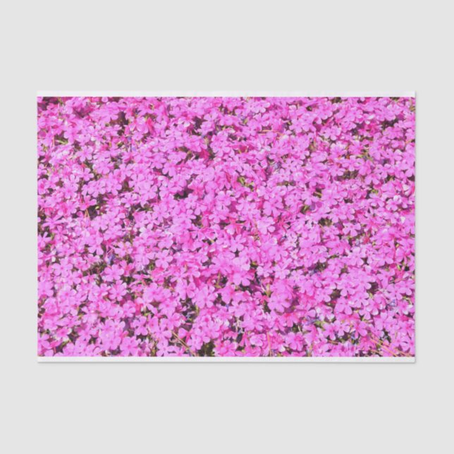 Papel De Seda Floral Rosa Vibrante (Frente )