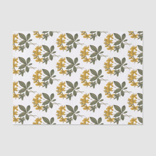 Papel De Seda Flores Amarelas Vintage Azalea (Frente )
