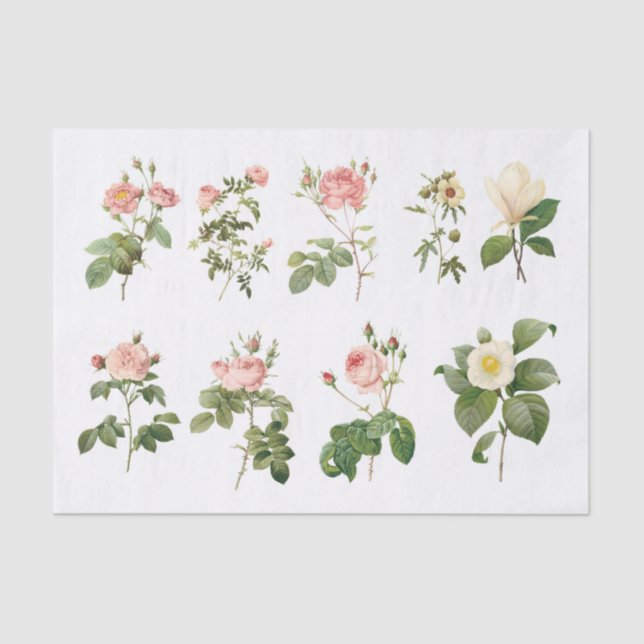 Papel De Seda Flores Botânicas Genuínas (não AI) (Frente )