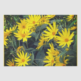 Papel De Seda Flores de Alcachofra de Jerusalém