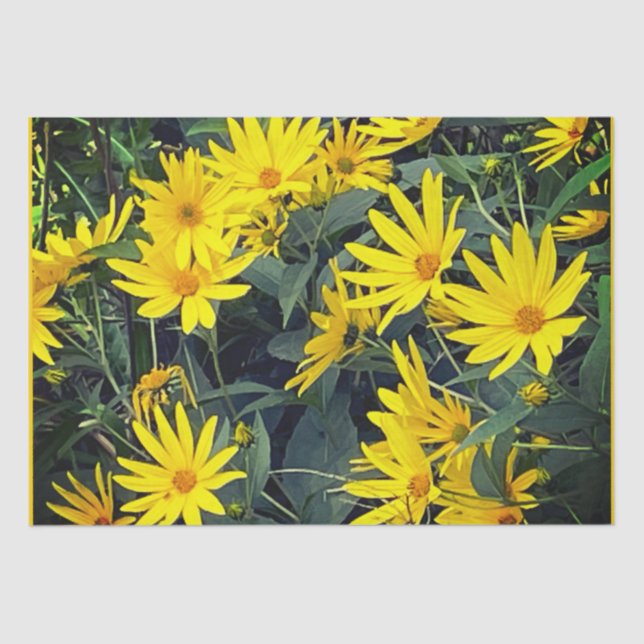 Papel De Seda Flores de Alcachofra de Jerusalém (Frente )