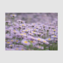 Papel De Seda Flores de Aster Roxo