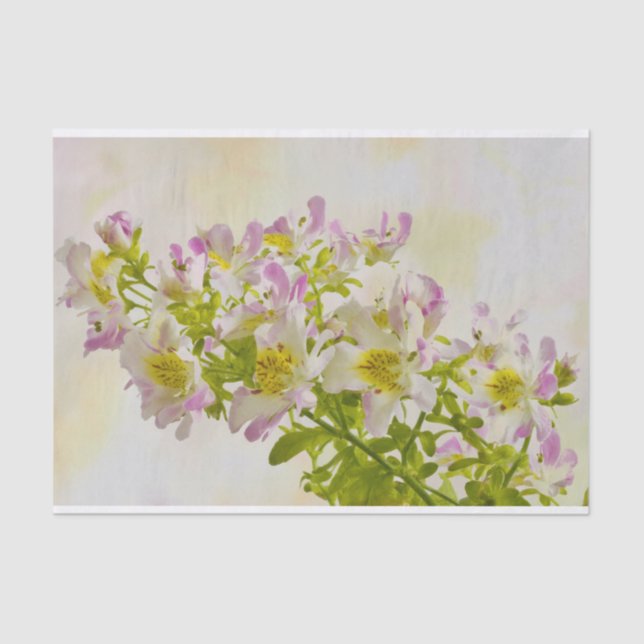 Papel De Seda Flores de borboletas (Frente )