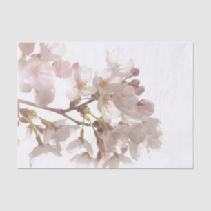 Papel De Seda Flores de cerejeira bonito
