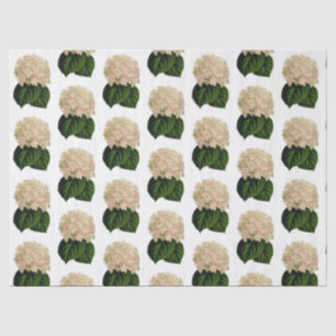 Papel De Seda Flores de Hortênsia Rosa Branco Verde Antigo #2
