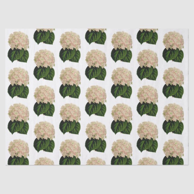 Papel De Seda Flores de Hortênsia Rosa Branco Verde Antigo #2 (Frente )