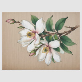 Papel De Seda Flores de Magnólia