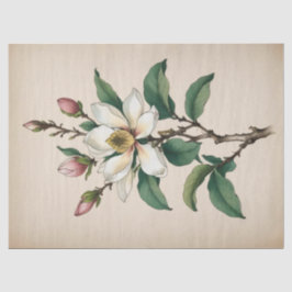 Papel De Seda Flores de Magnólia