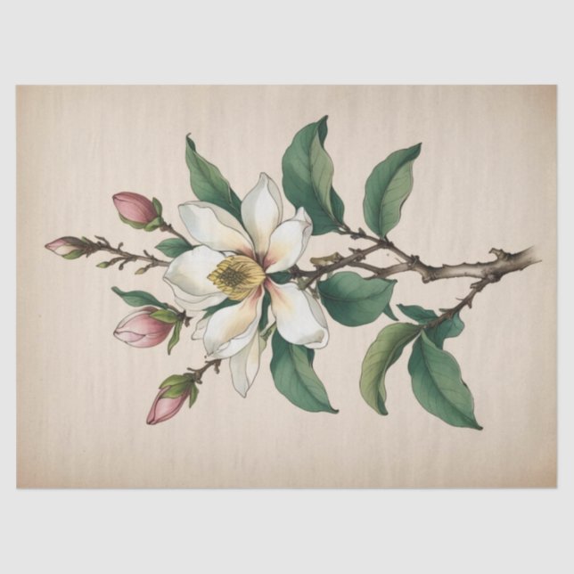 Papel De Seda Flores de Magnólia (Frente )