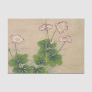Papel De Seda Flores de Malva por Zhang Ruoai