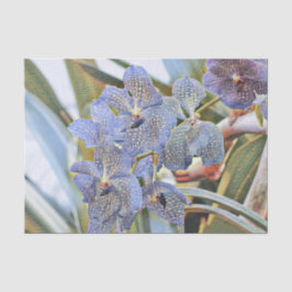 Papel De Seda Flores de orquídea coloridas azul-lavandante