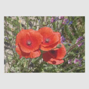 PAPEL DE SEDA FLORES DE POPULAÇÃO