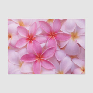 Papel De Seda Flores de Verão Rosa bonito