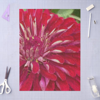 Papel De Seda Flores de Zínias Vermelhas