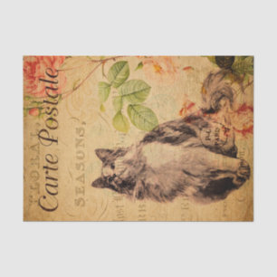 Papel De Seda Flores Florais De Gato Cinto Vintage, Francês