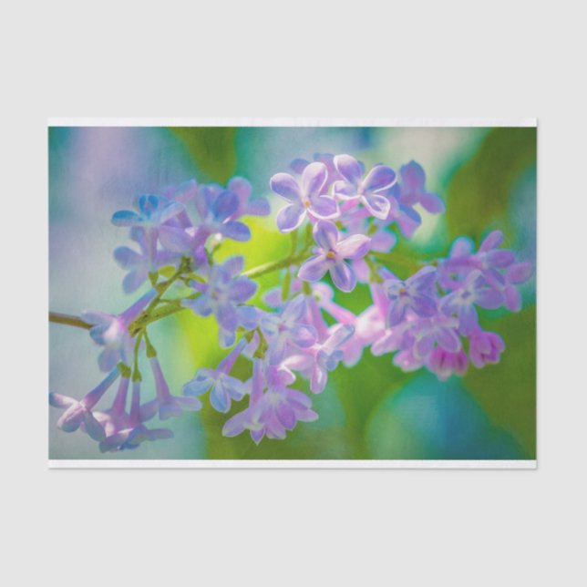 Papel De Seda Flores Liláticas Roxas (Frente )