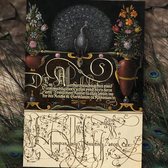 Papel De Seda Flores, Pavão, Borboletas e Caligrafia (Criador carregado)