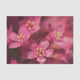 Papel De Seda Flores Rosa Bonitas