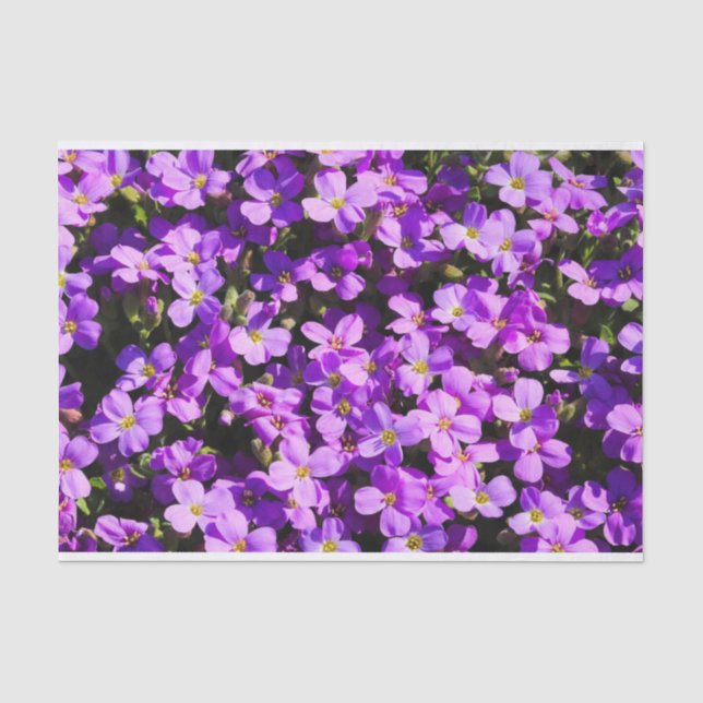 Papel De Seda Flores Roxas (Frente )