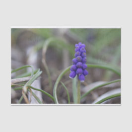 Papel De Seda Flores Roxas