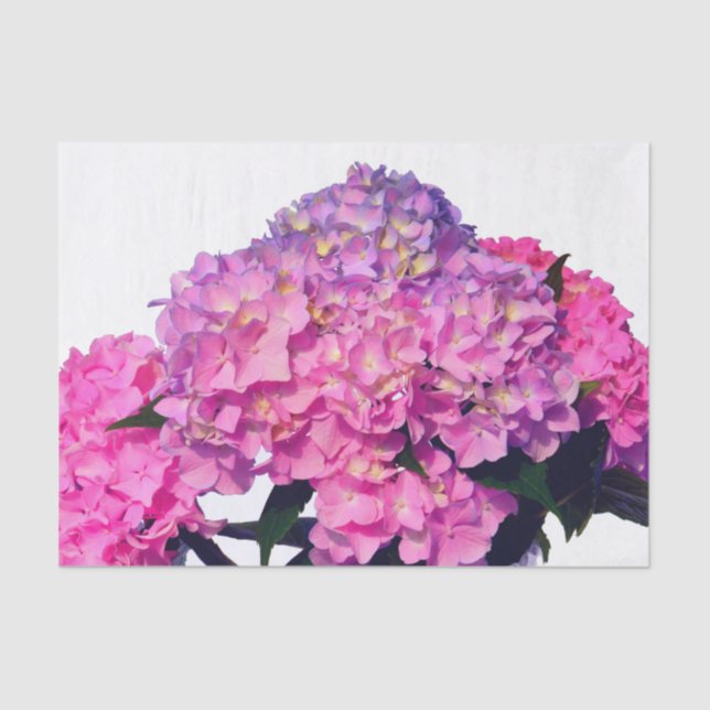 Papel De Seda Flores roxas, cor-de-rosa, hidrangeas (Frente )